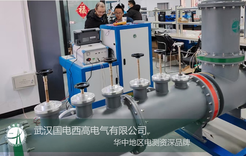 直擊現(xiàn)場 |國電西高完成GIS局放模擬裝置聯(lián)調(diào)及專業(yè)實(shí)操培訓(xùn)