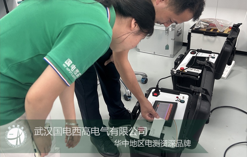 聚焦國際市場 國電西高檢測設(shè)備順利完成出口發(fā)貨